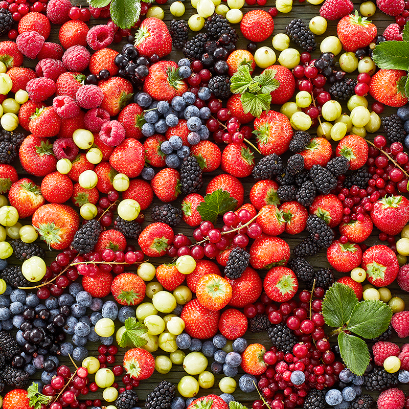 KK ESSENS 2 2023 SIDE 7 8 BAER 02 800X800