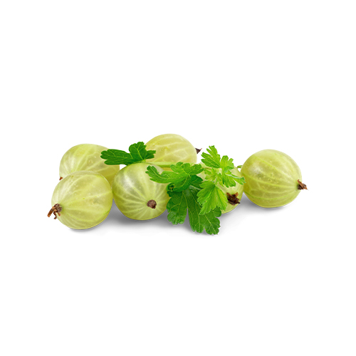 Untitled 1 0006 Shutterstock 448237543