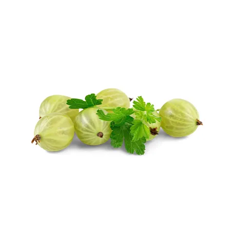 Untitled 1 0006 Shutterstock 448237543