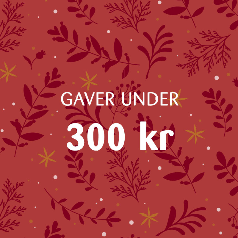 KK Julegaver Paa Budget 2 V3