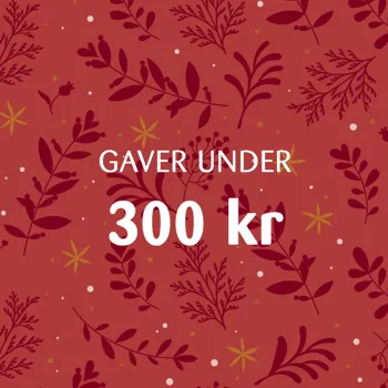 KK Julegaver Paa Budget 2 V3