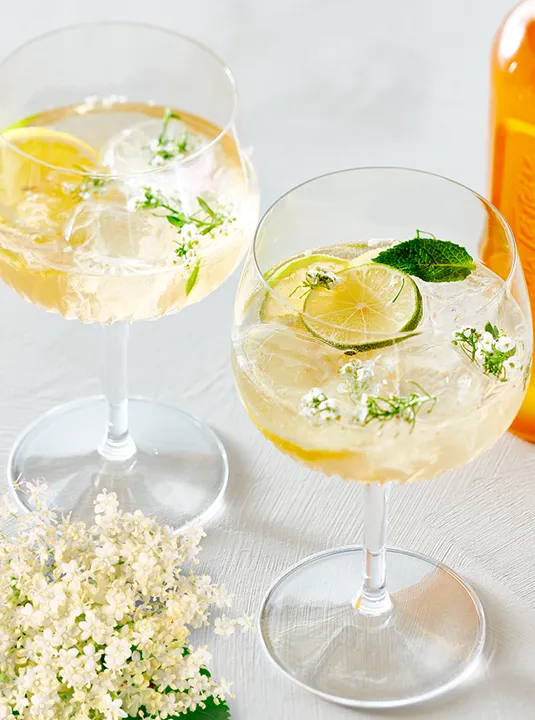 Gin Hyldeblomst 650 X 960