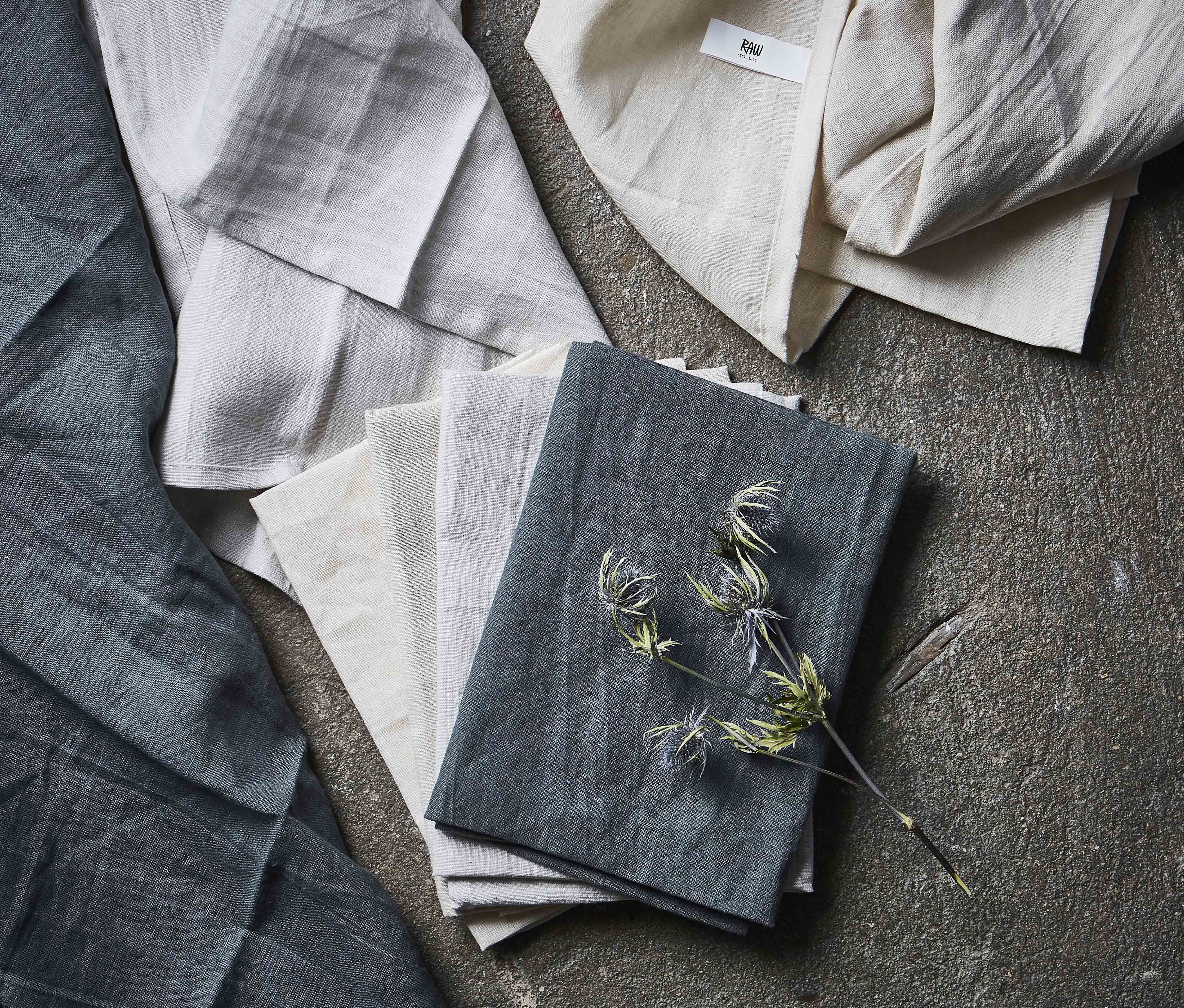 RAW 15670 15671 15672 15673 Environment 2019