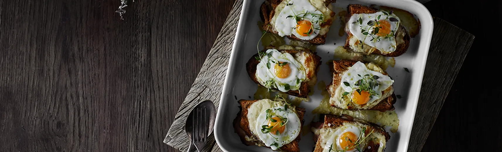 Aftensmad 1200X364px Croque Madame