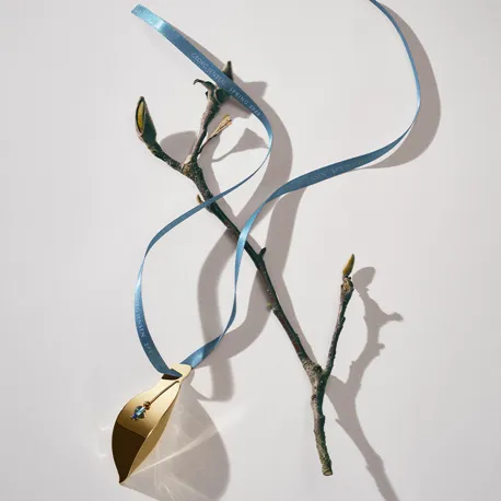 S25 Ornament 800X800