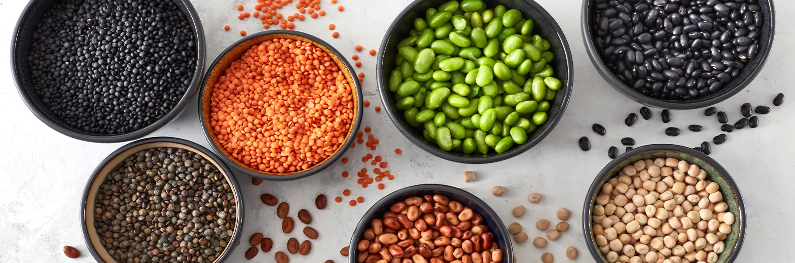 KK ESSENS 2 Baelgfrugter Banner Test 1568X520px