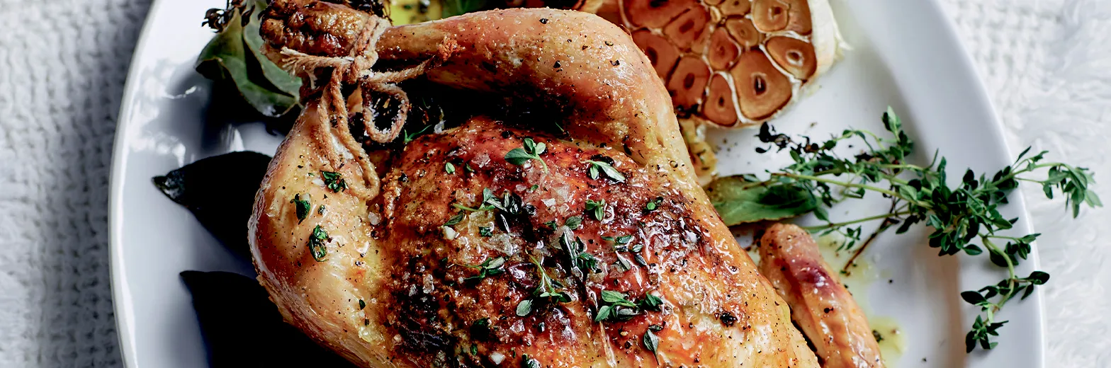 KK Helstegt Airfryer 1568X520px