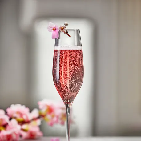 M Essens 1 2023 S 12 5703779013404 4303335 Holmegaard Champagneglas Carbernet 800X800px