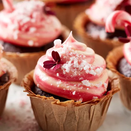 Cupcakes 800X800