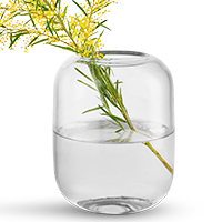 KK Redesign Web Category Packshots 200X200px Maerker Eva Solo Vaser