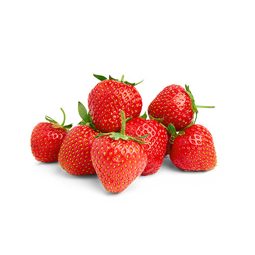 Untitled 1 0000 Shutterstock 104847482