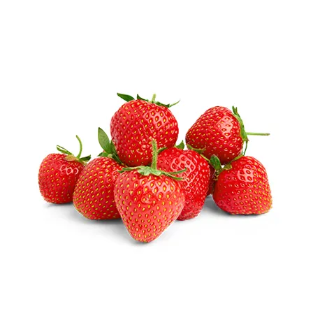 Untitled 1 0000 Shutterstock 104847482