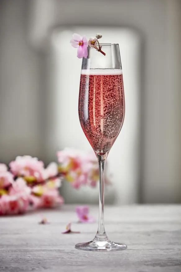 M Essens 1 2023 S 12 5703779013404 4303335 Holmegaard Champagneglas Carbernet