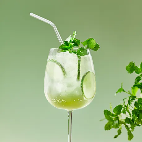 KK Web Hugo Spritz 800X800px