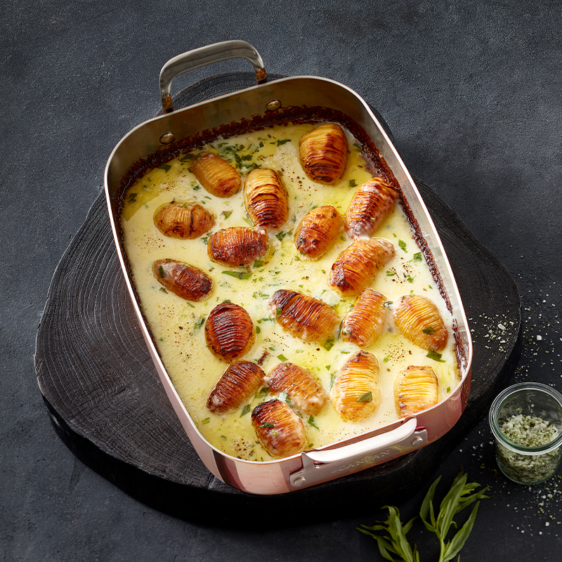 M Essens 1 2023 S 40 83421117717 77403500 Scanpan Bradepande 800X800px