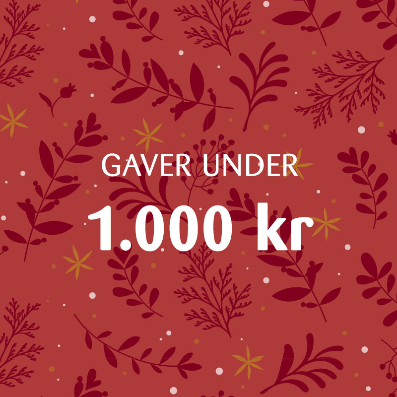 KK Julegaver Paa Budget 4 V3