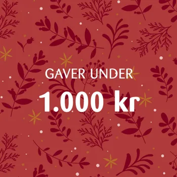 KK Julegaver Paa Budget 4 V3