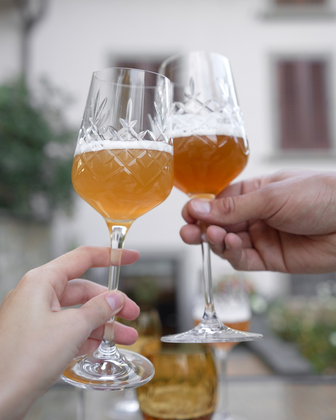 277932809 109037251771444 2222224573976497529 N