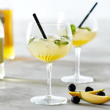 Magasin1 2020 Miljoe Side 46 Luigi Bormioli 32622026120 12464 Gin Hass 1 800X800