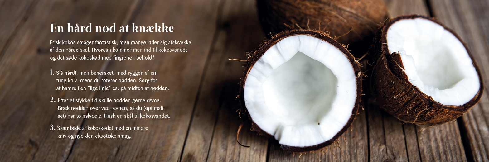 KK Madglad Kneak Kokusnoed Kokos 1568X520px