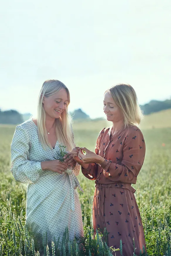 KK ESSENS 2 Baelgfrugter Brand Start 800X1200px