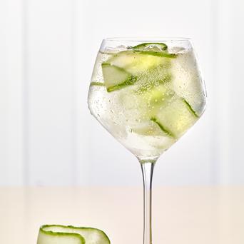 Cocktails 640X960px Gin Tonic