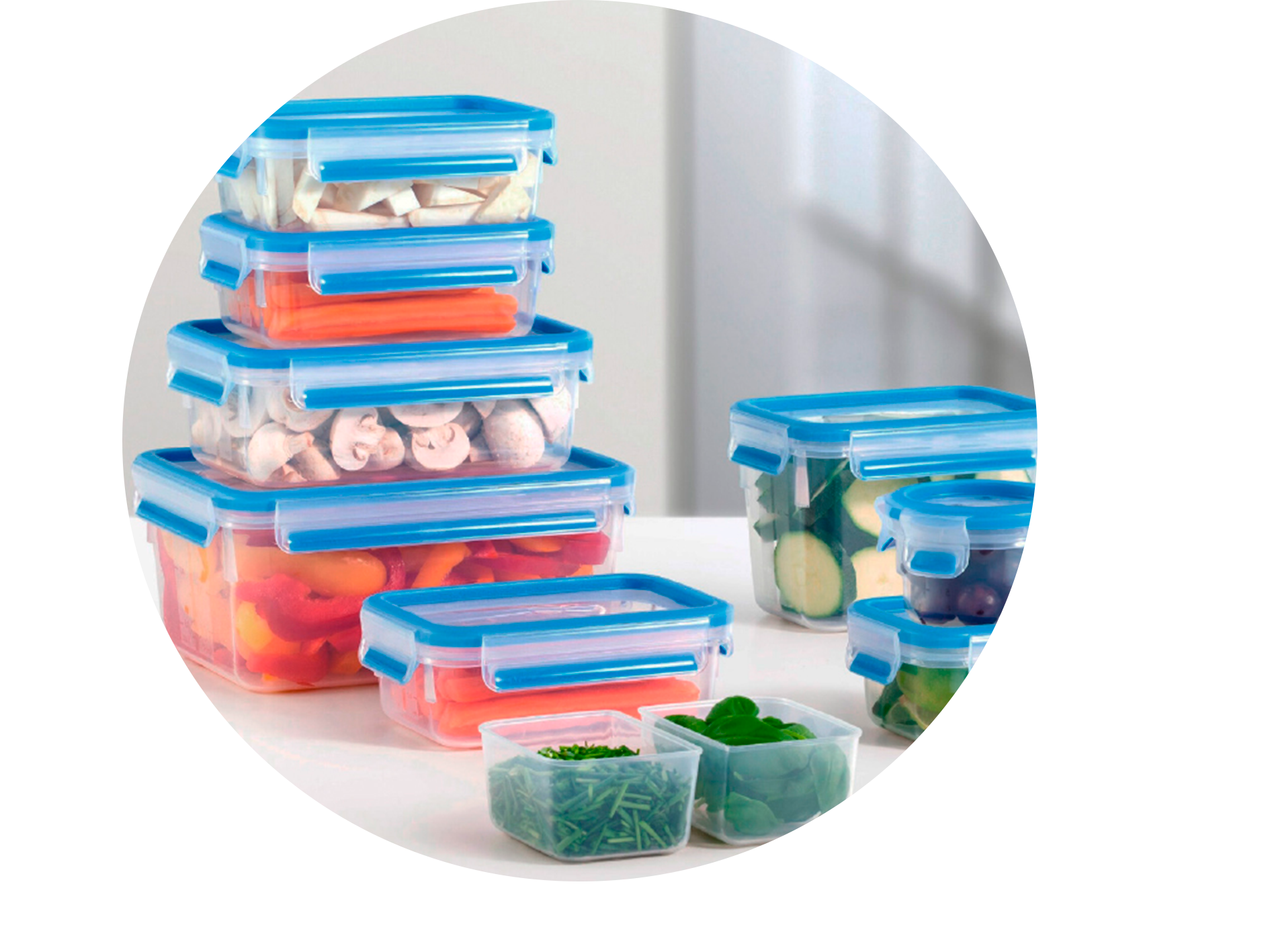 Mepal Food Storage Boxes Easyclip Organisation In The Fridge 800X800px 1