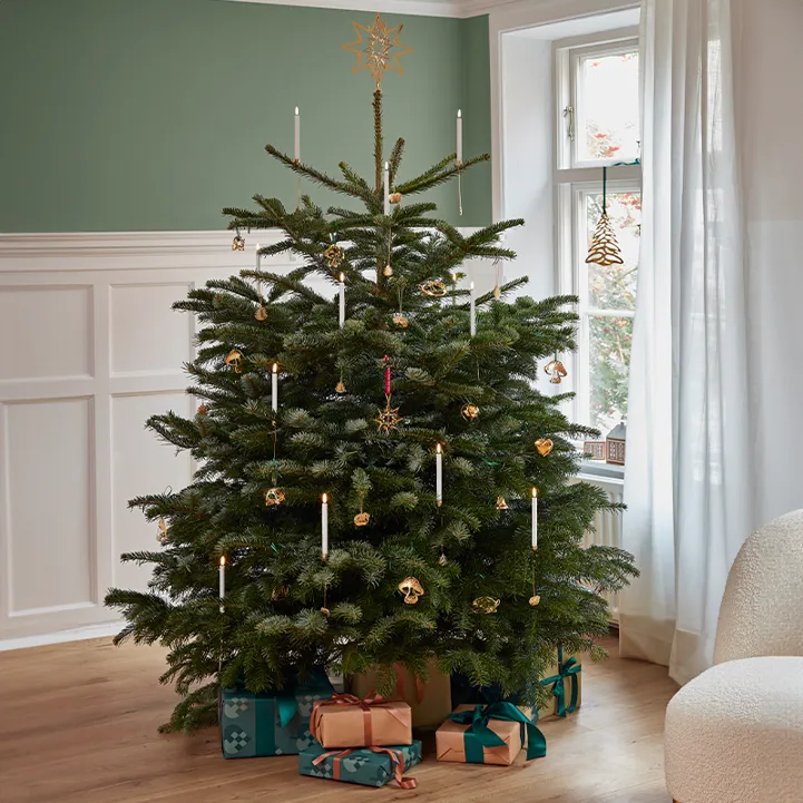 KK ESSENS 3 2023 Magisk Jul 800X800px