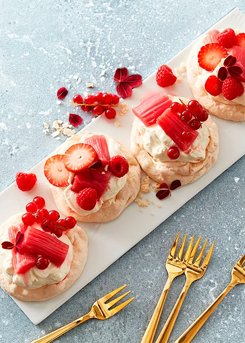 Pavlova 500X700