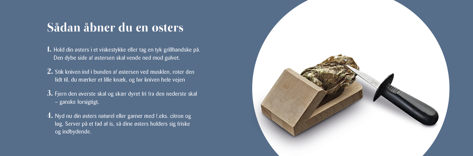 KK Nytaar Inspirationsside Oesters 1568X520px