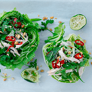 Hovedretter 298X298px Asienkylling (1)