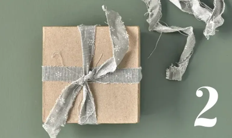 Skærmbillede 2021 03 31 113351