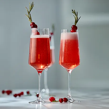 M 5713275224051 10019698 Georgjensen Bernadotte Champagneglas Bagside 700X460px (1)