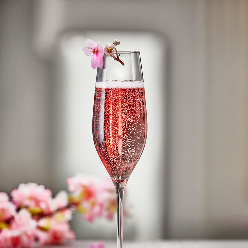 M Essens 1 2023 S 12 5703779013404 4303335 Holmegaard Champagneglas Carbernet 800X800px