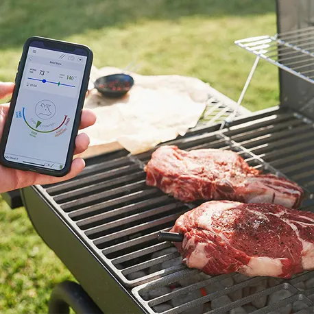 Bluetooth Termometer 800X800